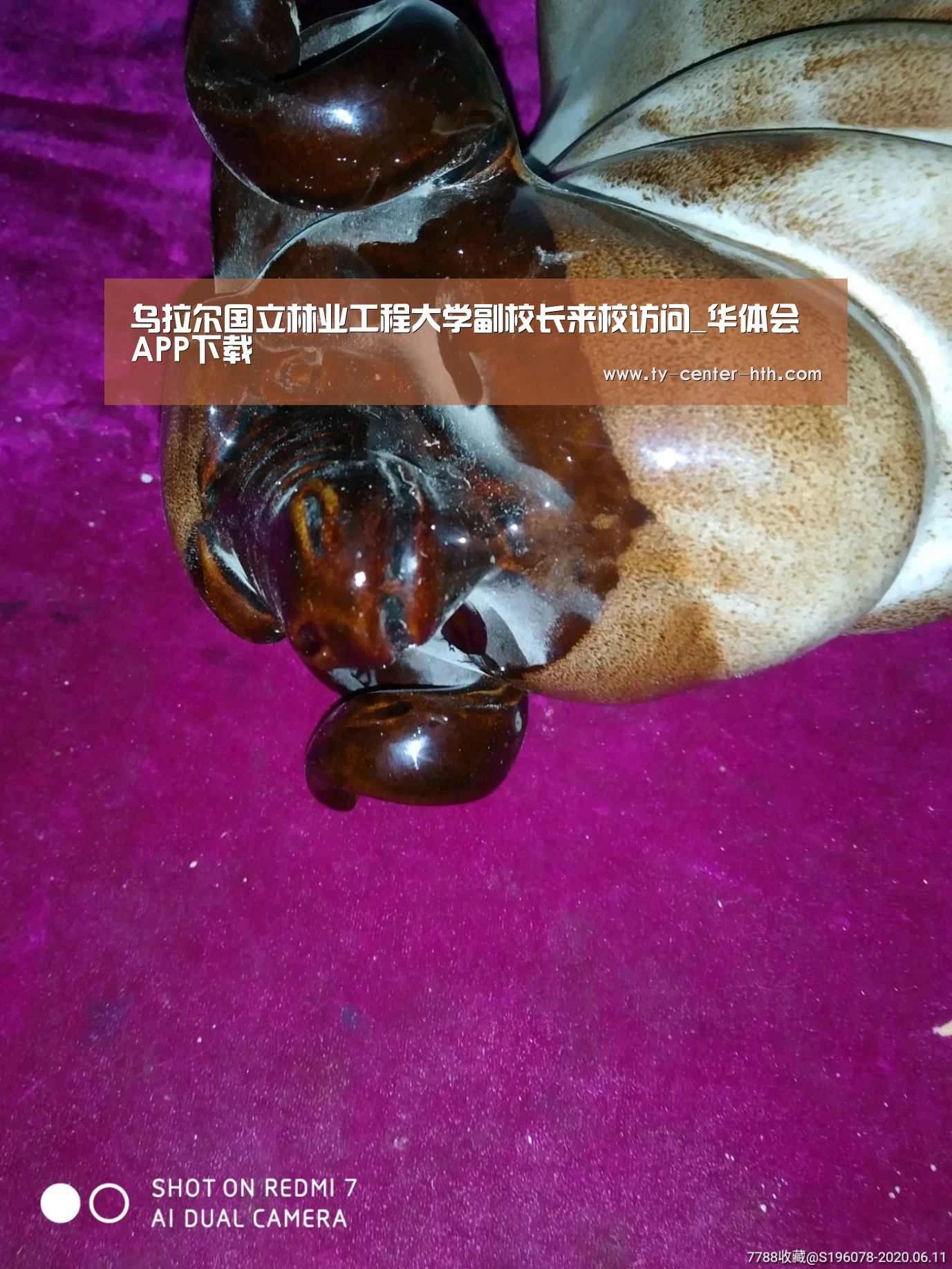 乌拉尔国立林业工程大学副校长来校访问_华体会APP下载(图1) 华体会入口