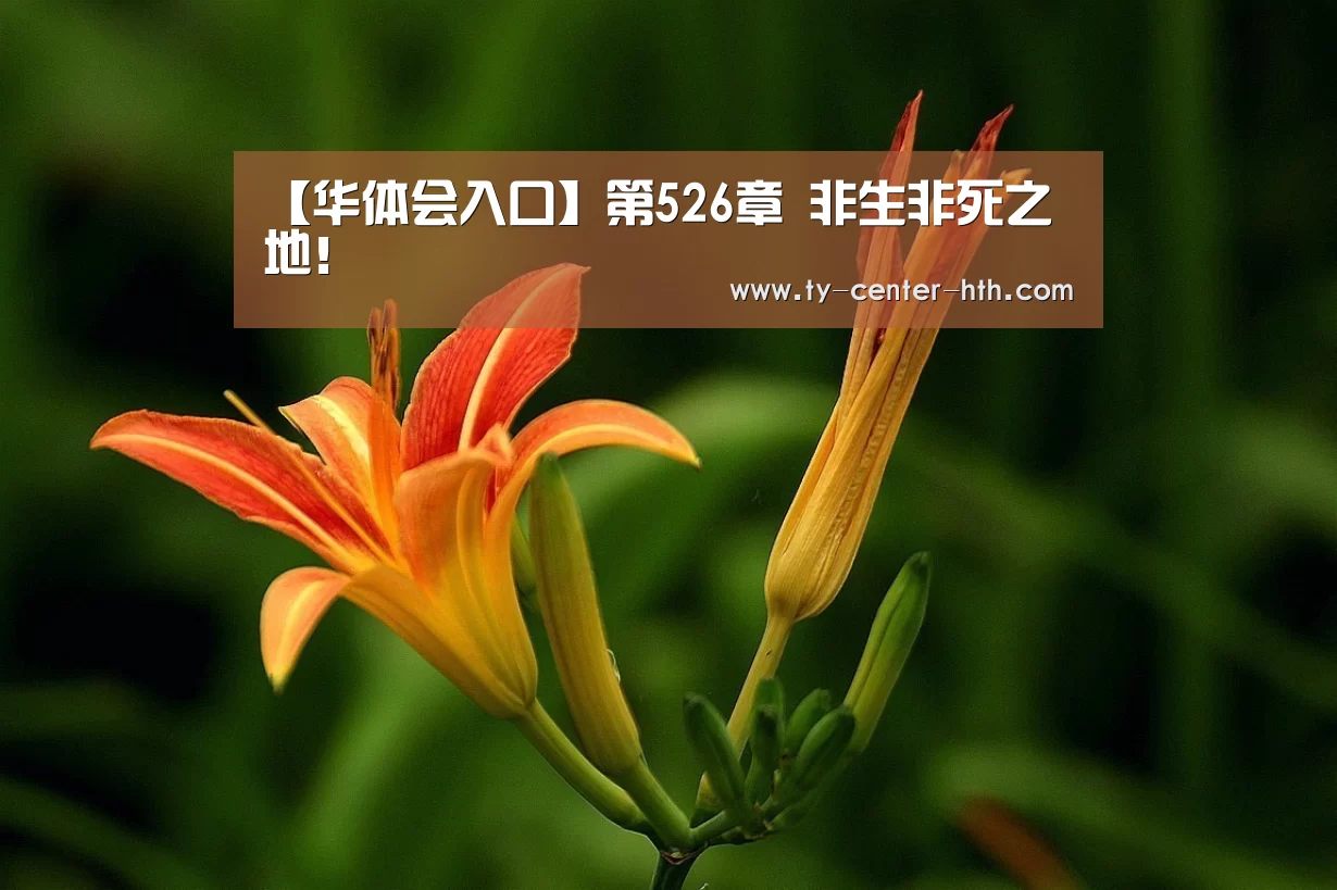 【华体会入口】第526章 非生非死之地!(图2) 华体会APP下载
