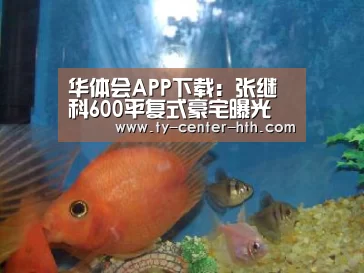 华体会APP下载:张继科600平复式豪宅曝光 直播中网友以为在酒店(图4) 华体会APP下载