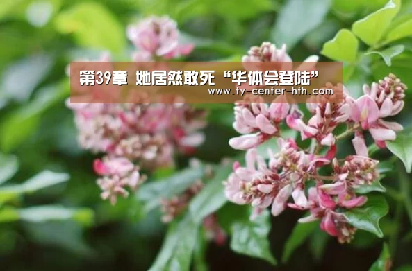 第39章 她居然敢死“华体会登陆”(图1) 华体会入口