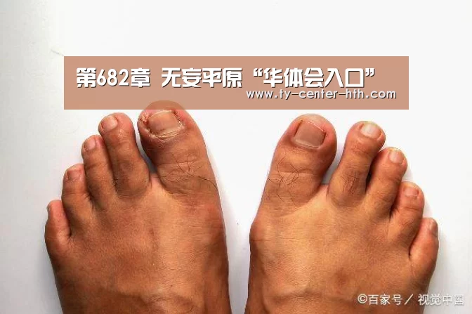 华体会登陆