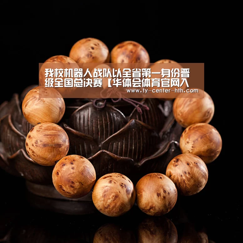 我校机器人战队以全省第一身份晋级全国总决赛【华体会体育官网入口】(图2) 华体会体育官网入口