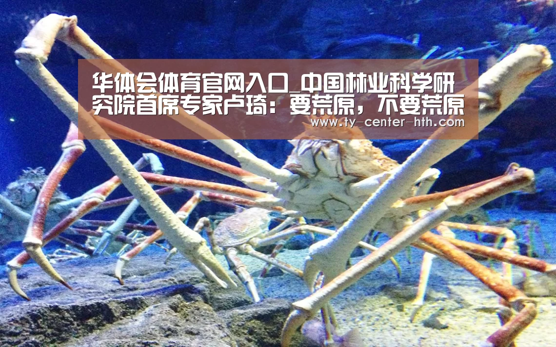 华体会APP下载