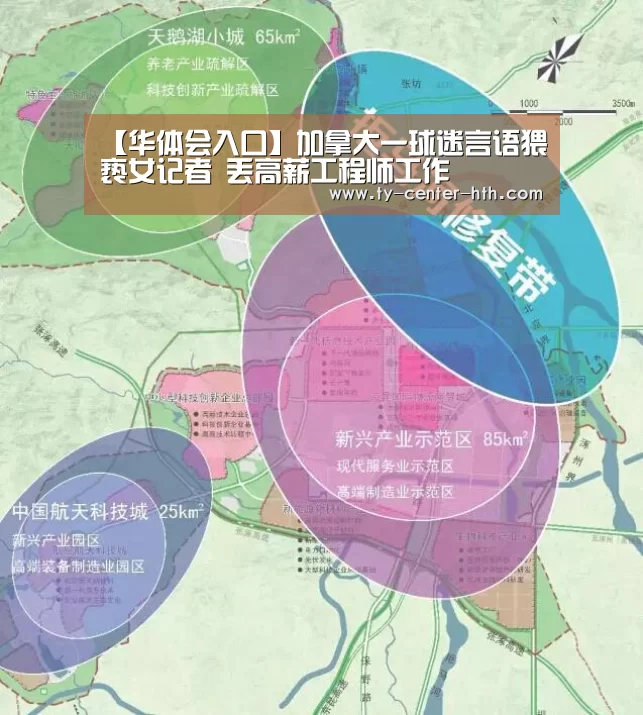【华体会入口】加拿大一球迷言语猥亵女记者 丢高薪工程师工作